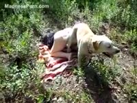 Hardcore animal porn in the woods